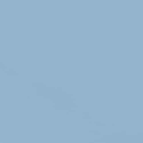 SAFAVIEH Outdoor - Valance 9-Foot Crank Patio Umbrella - Baby Blue & White Canopy - Brown Aluminum Pole - Decorative Petal Valance Trim - Ideal for Patio, Deck, Poolside, Backyard (PAT8006U)