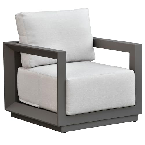 SAFAVIEH Couture Outdoor Patio Furniture Collection - Donaldo Accent Chair, Dark Grey Aluminum Frame with Beige Cushions, Fully Assembled (CPT4010A)