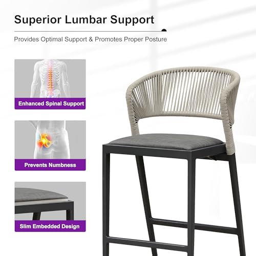 PURPLE LEAF Counter Height Bar Stool Set of 2 Modern Aluminum Rattan Wicker Outdoor Barstools with Backrest and Cushion for Kitchen Lawn Pool Bar Chairs Dark Grey