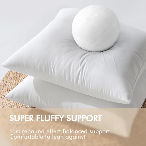 MIULEE Pack of 4 20x20 Inch Outdoor Pillow Inserts Waterproof Decorative Throw Pillow Insert, Square Lumbar Garden Pillow Form for Patio Sofa Couch