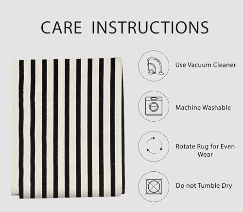 IOHOUZE Black Beige Striped Rug -4'x6' Front Door Rugs Outdoor, Washable Area Rug for Double Front Porch, Large Patio Rug Outdoor Indoor, Doormat for Entryway Porch Entrance