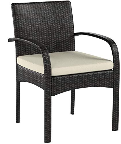 Christopher Knight Home Cordoba Outdoor PE Wicker Dining Chairs, 2-Pcs Set, Multibrown