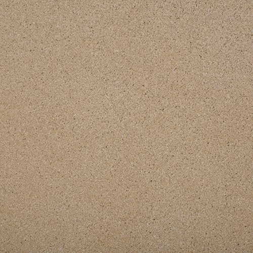 SAFAVIEH Outdoor - Tina Round Coffee Table - Beige - Fully Assembled - Weather Resistant - Ideal for Deck, Patio, Backyard, 35.4" W x 35.4" D x 10.6" H (PAT6210B)