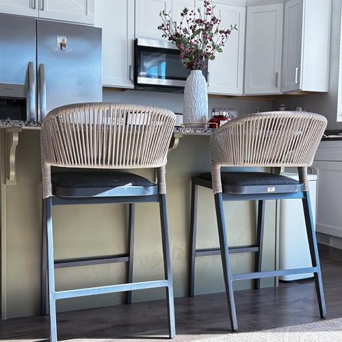 PURPLE LEAF Counter Height Bar Stool Set of 2 Modern Aluminum Rattan Wicker Outdoor Barstools with Backrest and Cushion for Kitchen Lawn Pool Bar Chairs Dark Grey