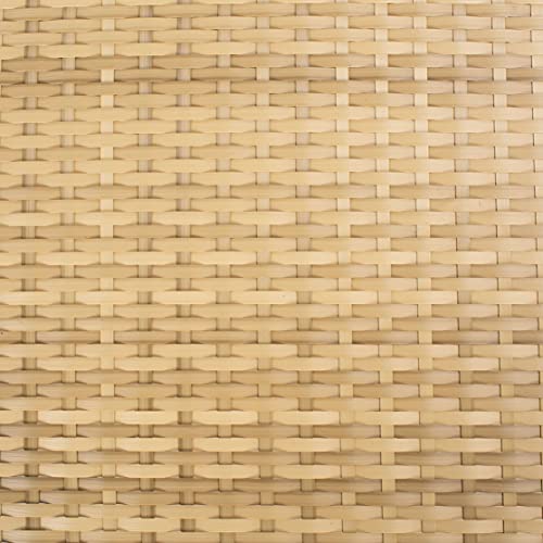 SAFAVIEH Outdoor - Cam Chaise Lounge Chair - Brown & White - Faux Wicker Rattan & Steel Frame with Cushion - Modern Adjustable Design - Ideal for Patio, Deck, Poolside, Backyard (PAT7501D)