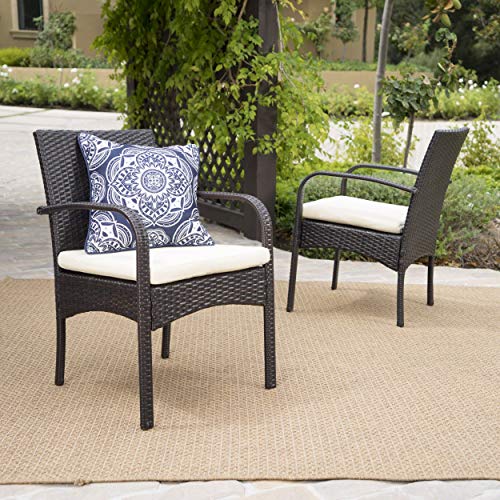 Christopher Knight Home Cordoba Outdoor PE Wicker Dining Chairs, 2-Pcs Set, Multibrown