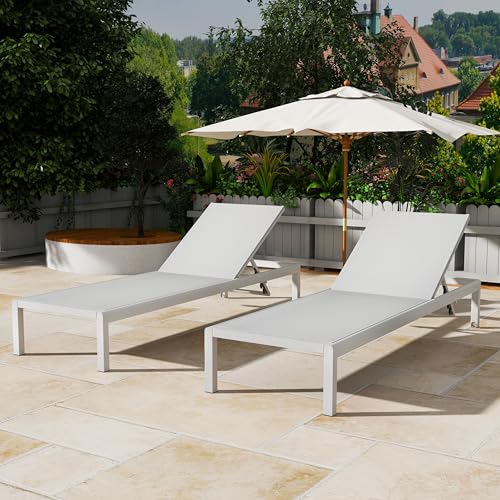 Christopher Knight Home Set of 2 Berton Outdoor Mesh Seat Chaise Lounge Chairs, Patio Adjustable Aluminum Frame Single Lounge Sofa, Poolside/Garden/Backyard Seating, All-Weather Furntiure, Gray+White
