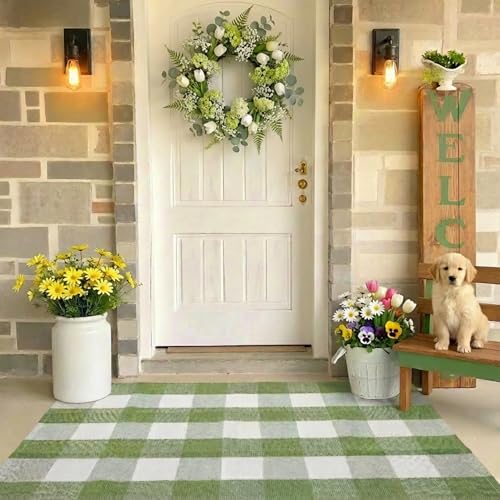 WAYYE Buffalo Plaid Outdoor Rug 27.5" x 43" Grass Green and White Checkered Area Rug Washable Doormats Indoor Outdoor Rugs for Layered Front Door Mats, Porch, Entryway, Kitchen, Farmhouse