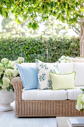 Hofdeco Premium Coastal Patio Indoor Outdoor Throw Pillow Cover Only, 20"x20" Water Repellent for Backyard, Couch, Baby Blue Print Hydrangea Flower