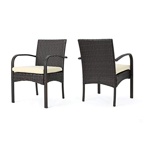 Christopher Knight Home Cordoba Outdoor PE Wicker Dining Chairs, 2-Pcs Set, Multibrown
